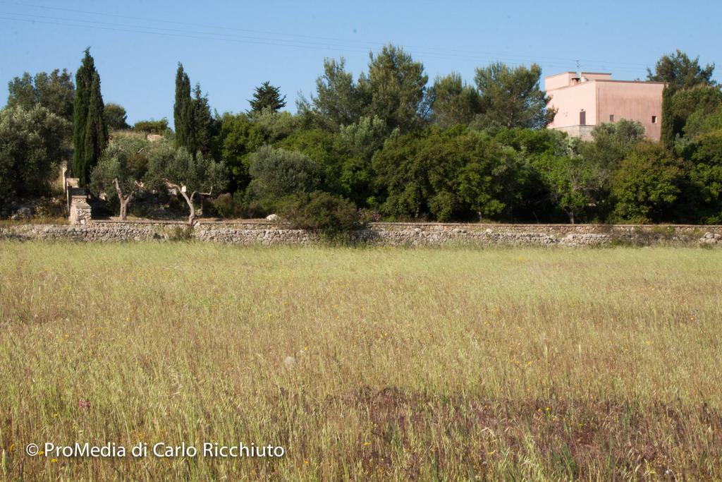 לינה וארוחת בוקר אוג'נטו Masseria Moresano חדר תמונה